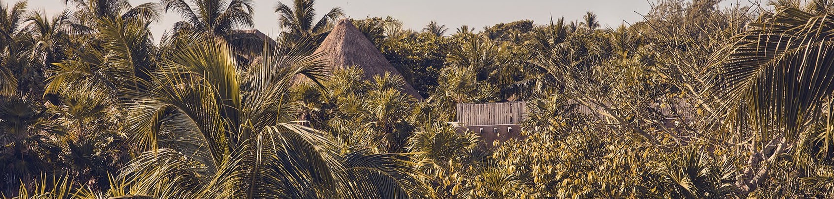 MON PROGRAMME DE FIDÉLITÉ